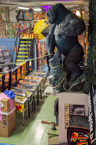 A grey gorilla 'apes' the Congo toy and artwork