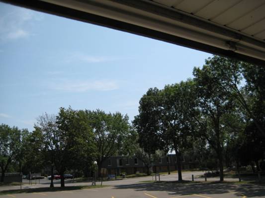 A view from the place for the funnest picnic