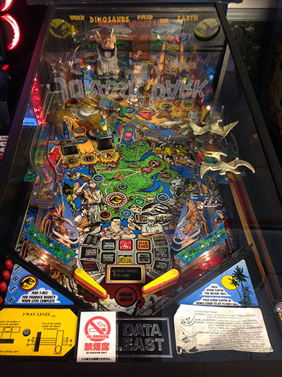 The Jurassic Park's playfield