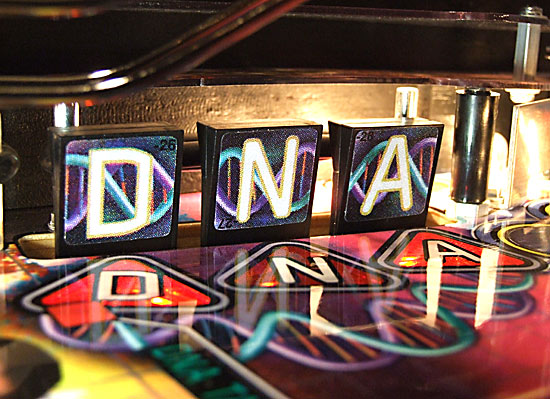 The D-N-A drop targets