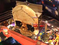 The positions for the skull
