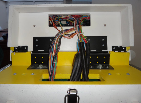 The backbox hinges