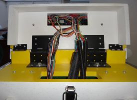 The backbox hinges