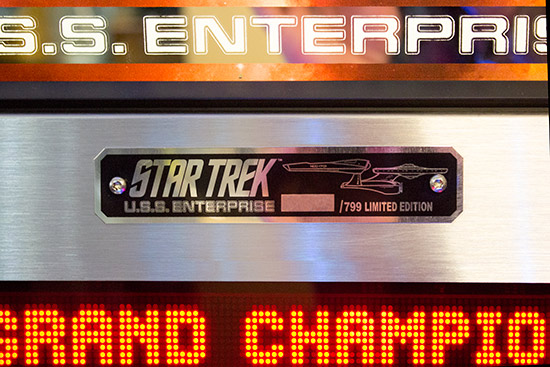The LE plaque