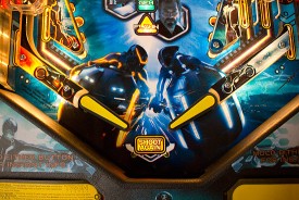The flipper area
