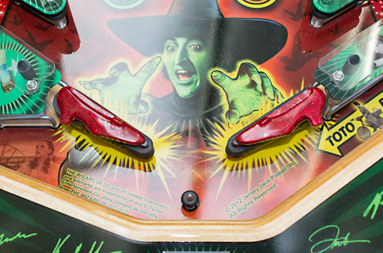 The ruby slipper flippers