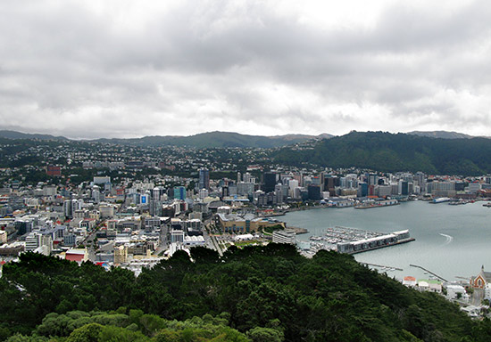 The view of Wellington from Mount Victoria