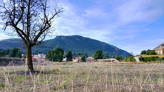 The view opposite