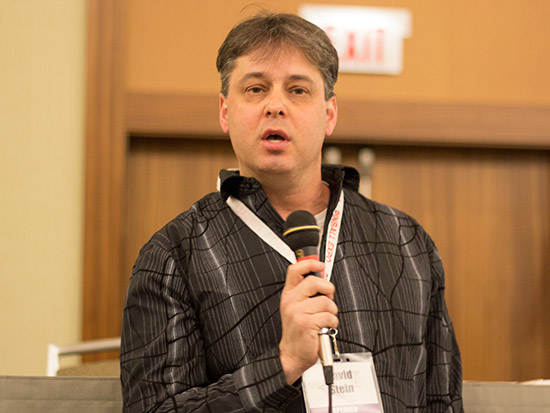 David Stein