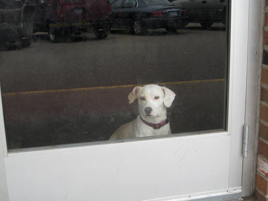 This year Prada performed her duties of welcoming everyone at the door of SS Billiards