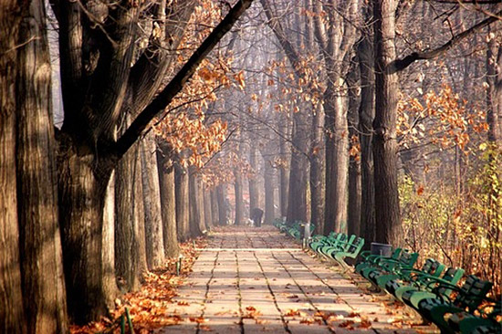 Cismigiu Park