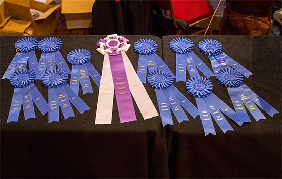 The awards for the Best-in-Show winners