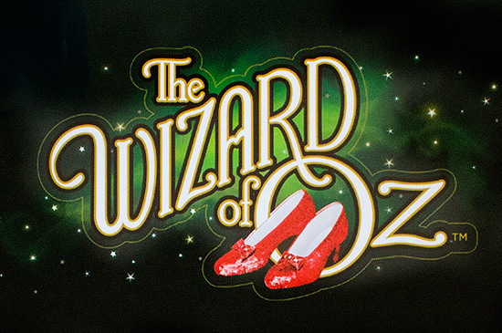 The game's logo