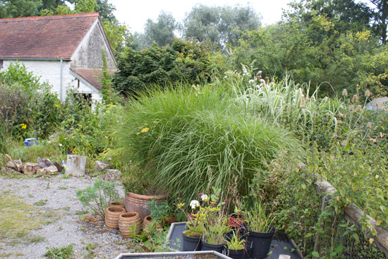The gardens