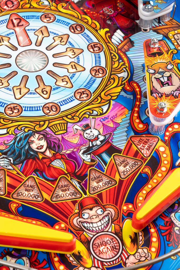 The artwork around the flippers in the Limited Edition model