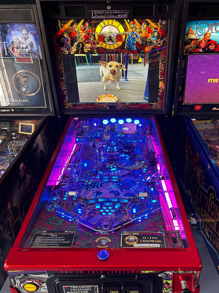 Jersey Jack Pinball's Guns 'N Roses