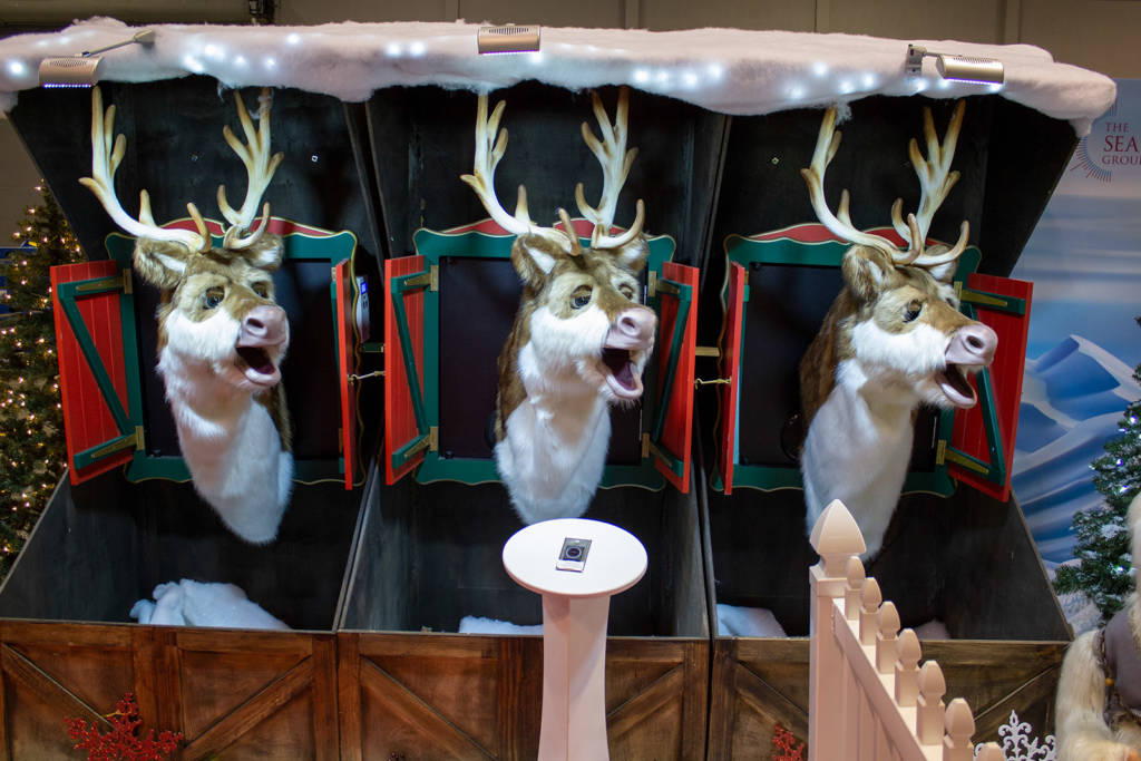 Three singing reindeer, well, their heads anyway