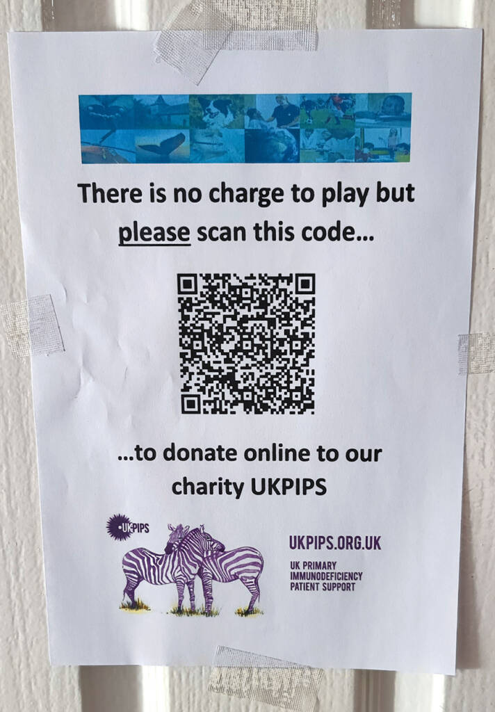 Pinball players were encouraged to support the event's chosen charity