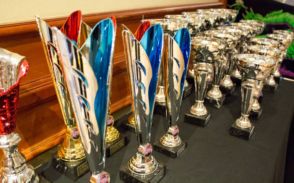 Trophies for the UK Pinball League finals and regional winners