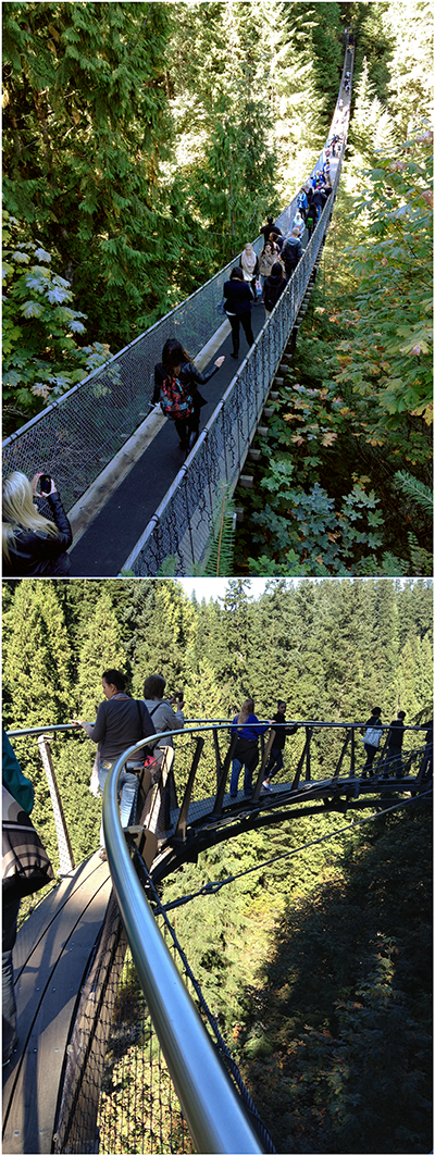The suspension bridge and cliffwalk